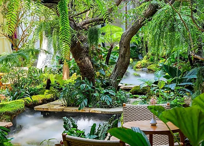 La Plante