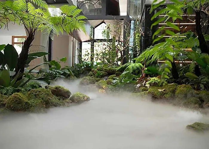La Plante Siem Reap